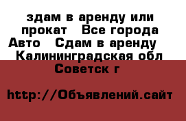 здам в аренду или прокат - Все города Авто » Сдам в аренду   . Калининградская обл.,Советск г.